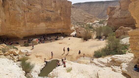 גבי ימין // צילום: טל פולק, רשות הטבע והגנים